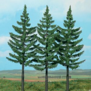 2128   3 Hochstammfichten 21 cm