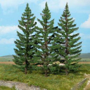 2129   3 Bergfichten 20 cm