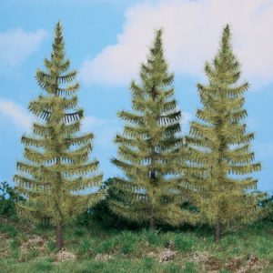 2136   3 Lärchen 17 cm