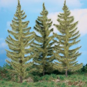 2137   3 Lärchen 20 cm