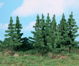 2139   10 Fichten 12 cm