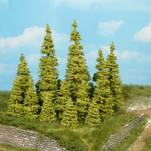 2145 10 Lärchen 5 cm