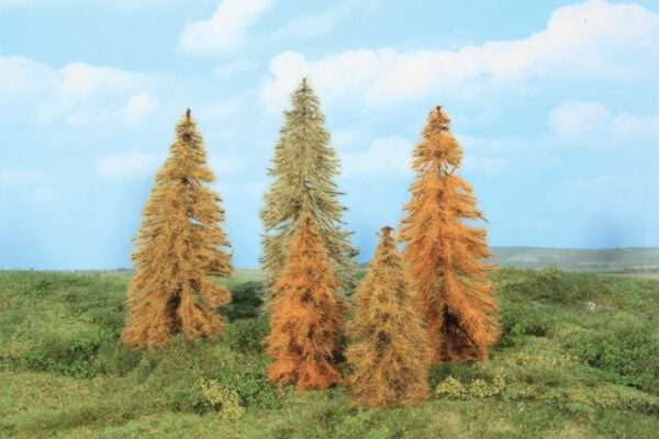 2179  Neu 5 Lärchen herbstlich 14 - 18 cm