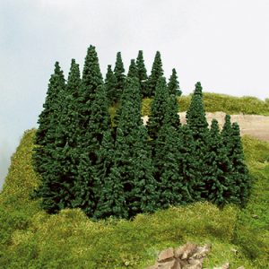 2190    100 Steckfichten 5-14 cm