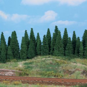 2243   Tannenwald, 40 Tannen 5-12 cm