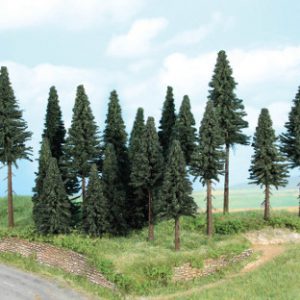 2263   Tannenwald, 20 Tannen 7-17 cm