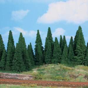 2241   35 Tannen 5-12 cm