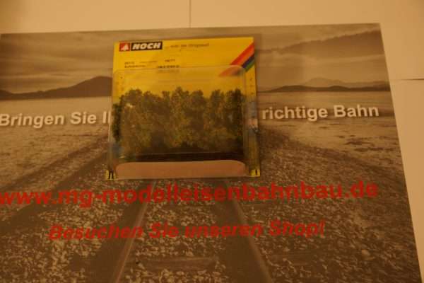 Noch Apfelbäume