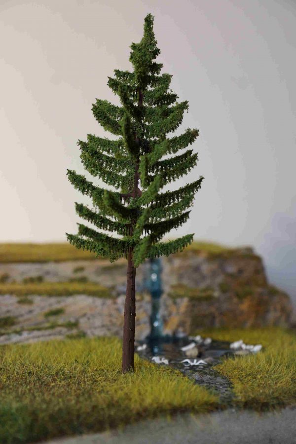 Fichte Hochstamm 21cm L2128/21 - 1 St.