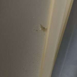 8 Modur-Hartschaum-Platte für Bahndämme , Ggebäude 10cm x 57cm x 0,8 cm Achtung  mit leichten abbrüchen1 B Ware