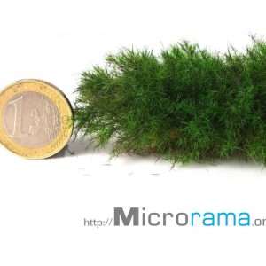 32 168 302 Dunckelgrün 2 mm Grasfaser Magifloc 30g ! Achtung-Auslaufende Artikel !